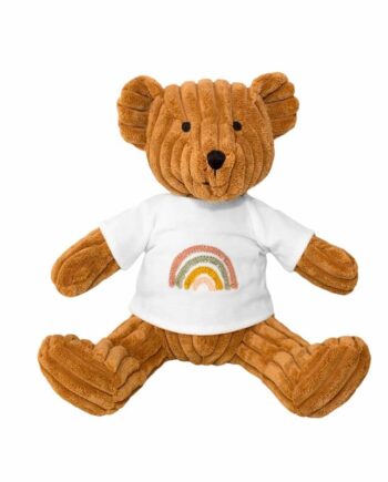Rainbow bear nutmeg plush teddy bear toy