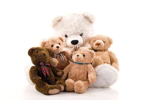 stuffed animal teddy bear