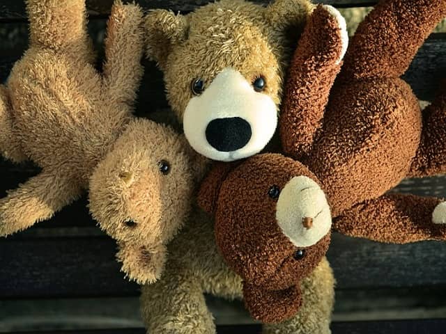 Stuffed Animals and Plush Toy Fun Facts | Cute Cuddly Plush Toys | Y-Nott