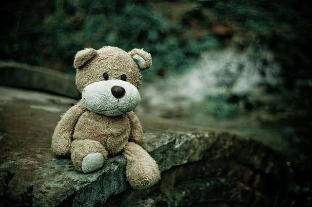 Lost Childs toy lovey teddy