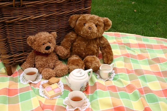 Teddy Bears Picnic Party
